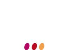 Vinea Transaction