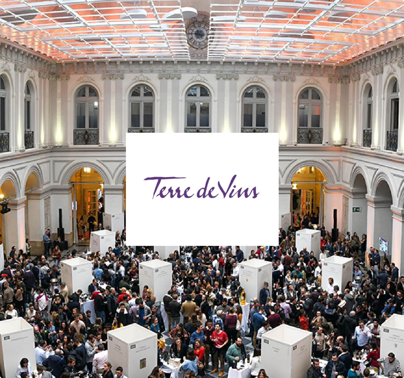 terre-de-vins@2x terre de vins