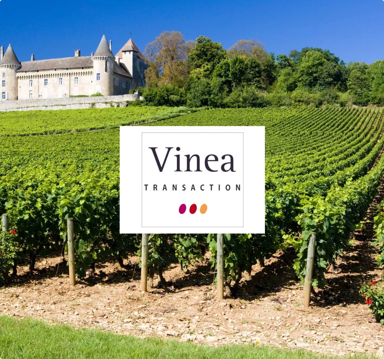 vinea@2x Vinea Transactions