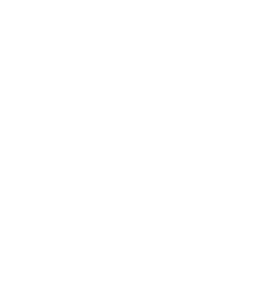 Le Negresco