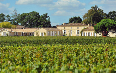 Le Bacchus Business Club au Domaine de Chevalier