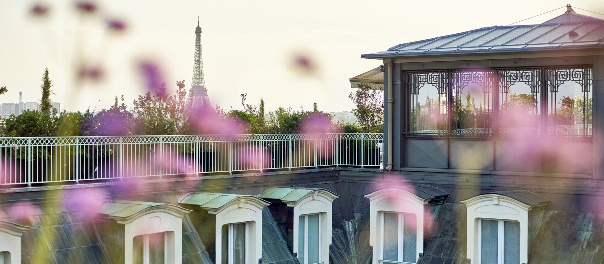 Le Bacchus Business Club ouvre à Paris